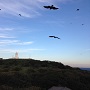 空海の風景　孤ならず