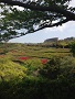 高野辰之　春が来た