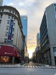 今朝はこんな感じ