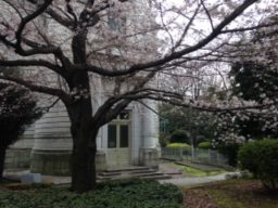 花発多風雨　人生足別離（さよならだけが人生だ）