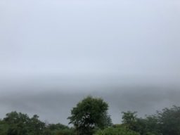 雲海の鹿野山