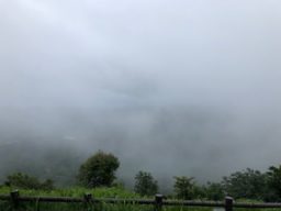 ゲリラ豪雨の鹿の山