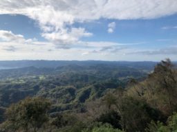 残照　東山魁夷