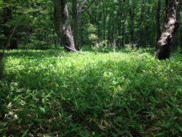 CTC創生、成長物語（2）