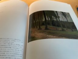 田中一村展　森のはずれ（ゴッホ）霜の解ける道（中川一政）