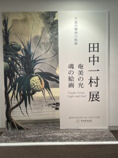 田中一村展