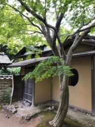 耳庵
