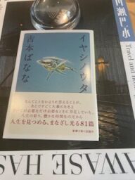 吉本ばなな　イヤシノウタ