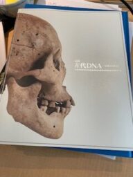 身近な縄文時代（1万5千年続いた）