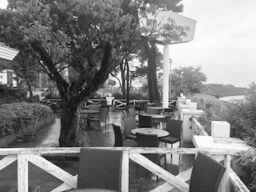 化粧する母 パブロピカソ