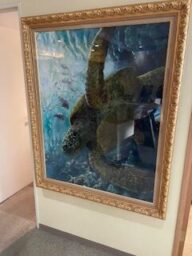 太田琴乃　潜る