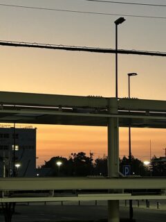 書き初めコンクール審査　大阪へ