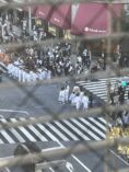 山王祭り 山車と神輿と