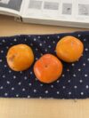 柿と丹波篠山の枝豆